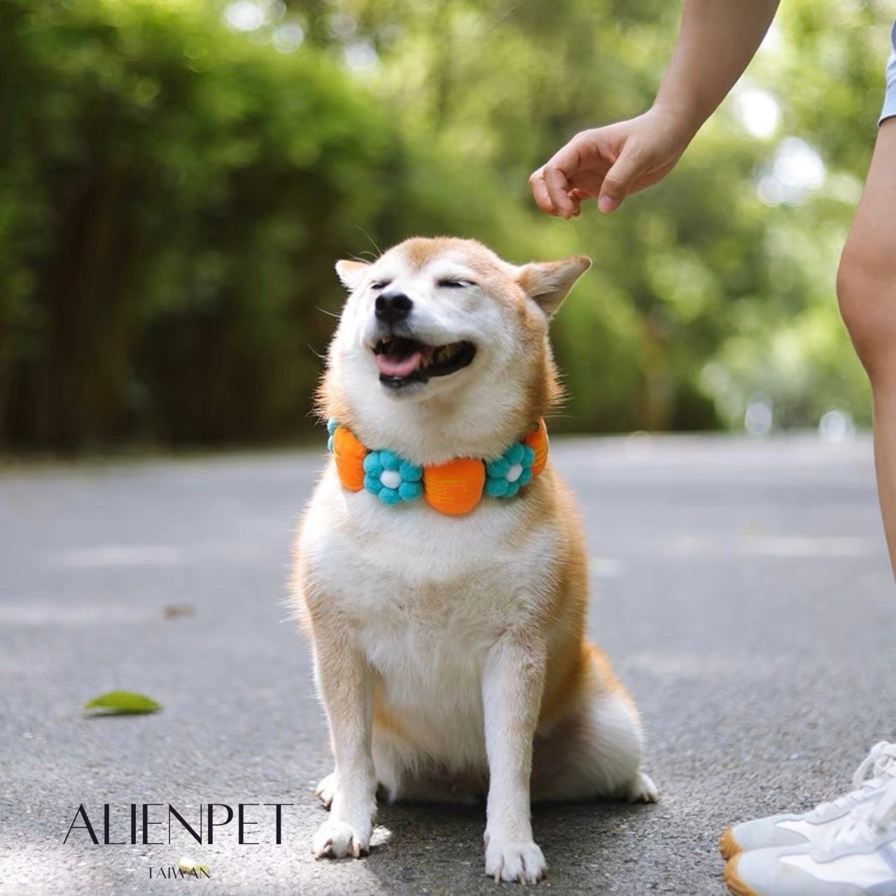 ALIENPAW水果花花項圈