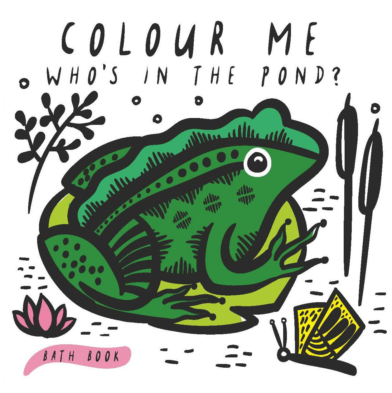 Colour Me：Who's In The Pond?