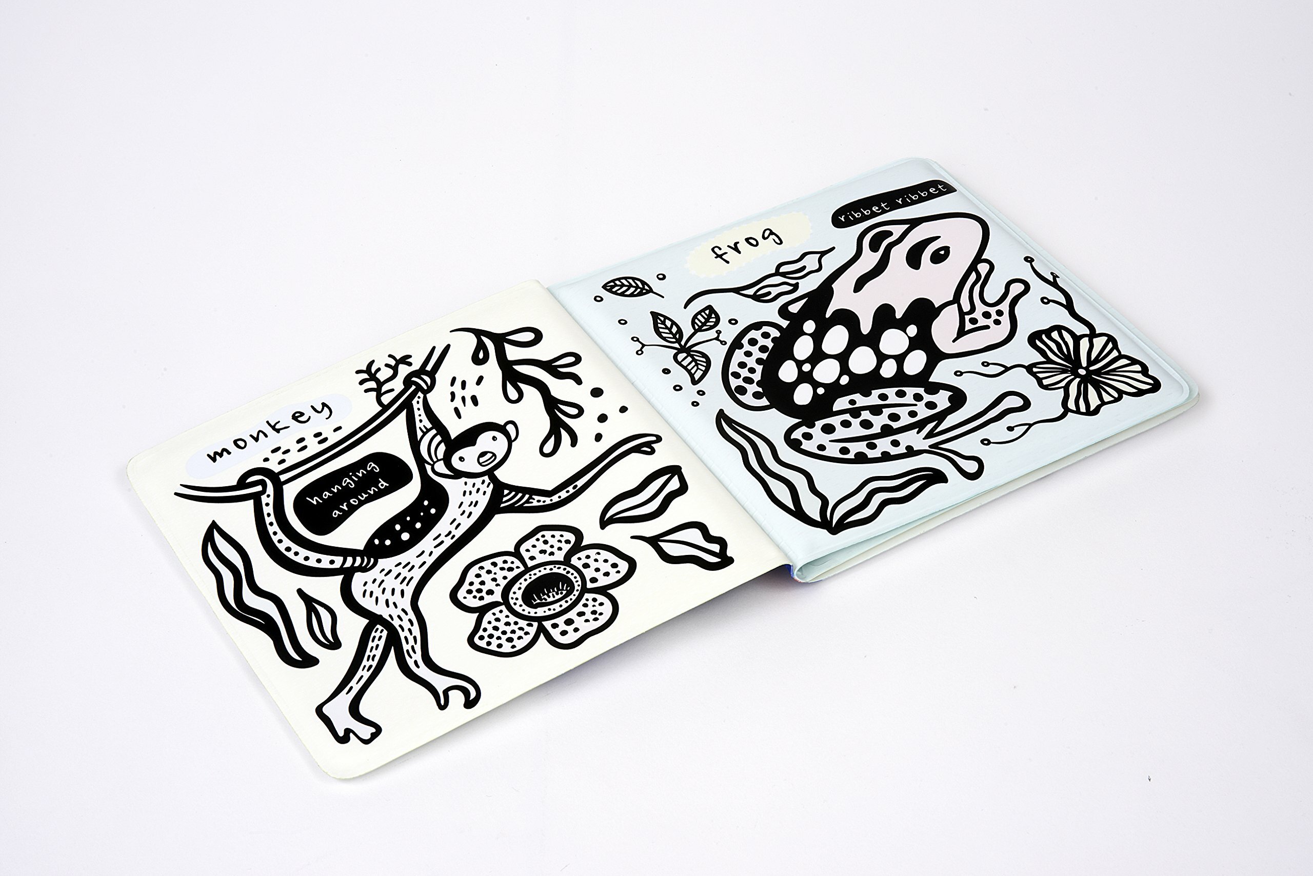 Colour Me：Who’s In The Rainforest?