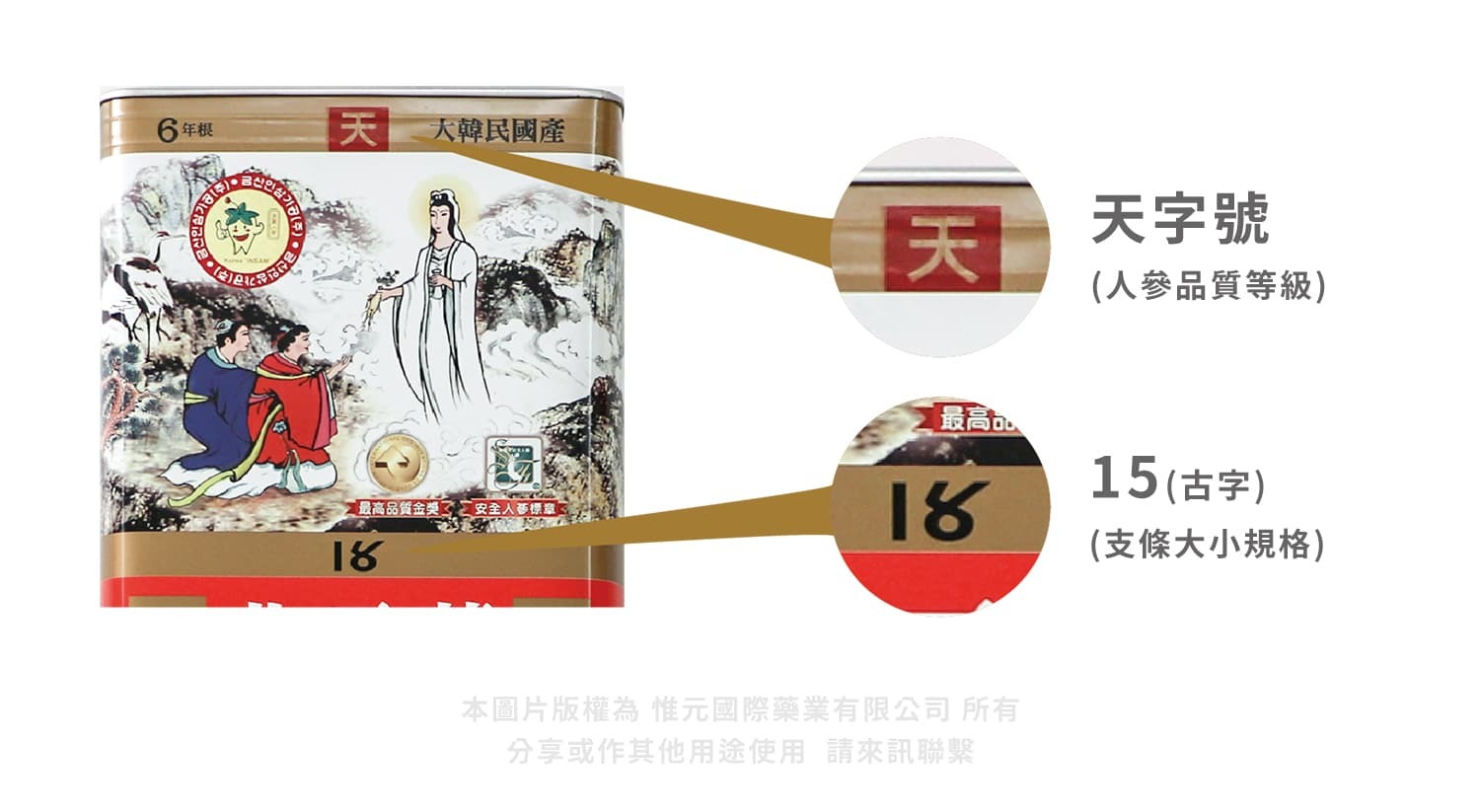 can series of ginseng