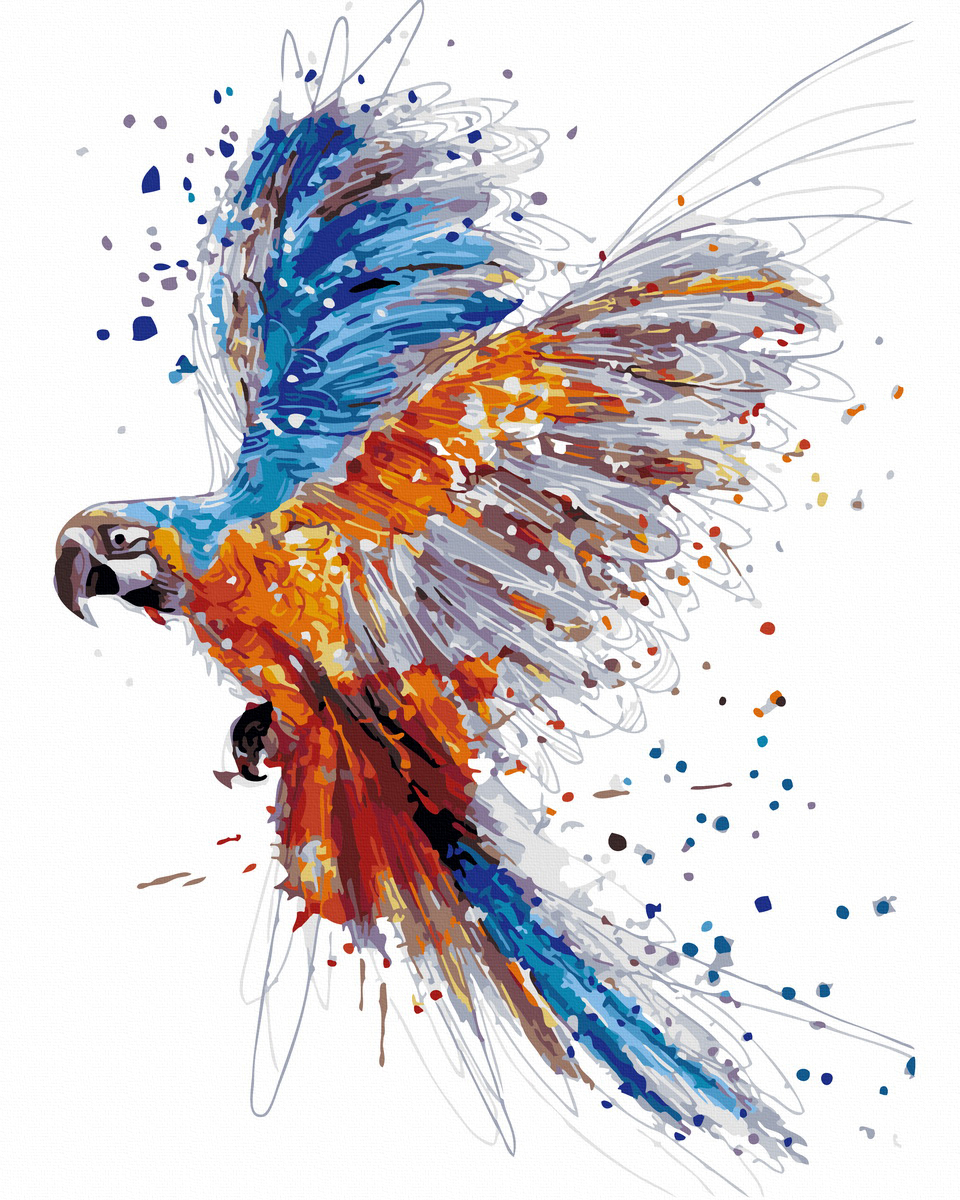 【DT219】色彩奔騰