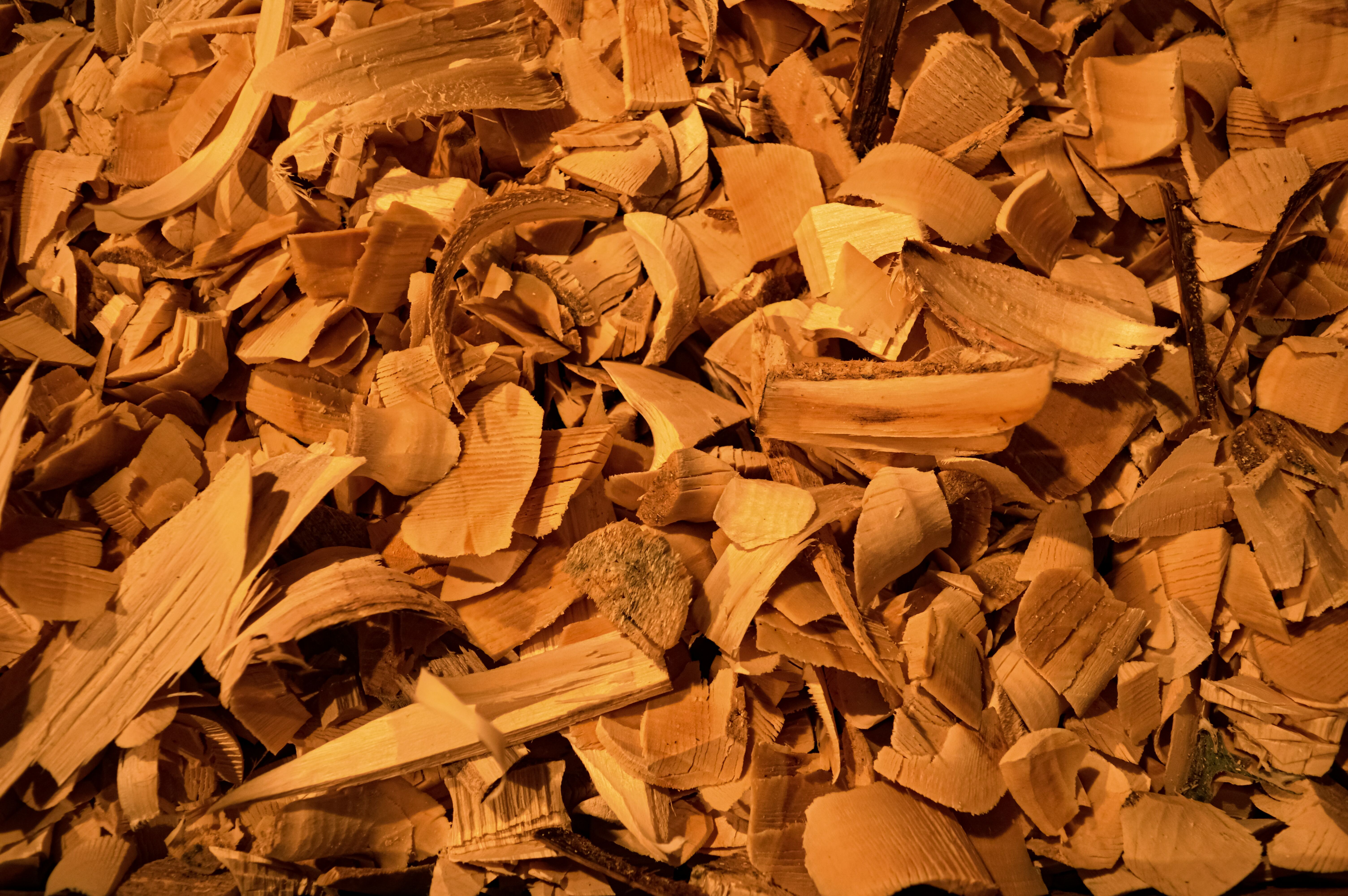 Sandalwood サンダルウッド