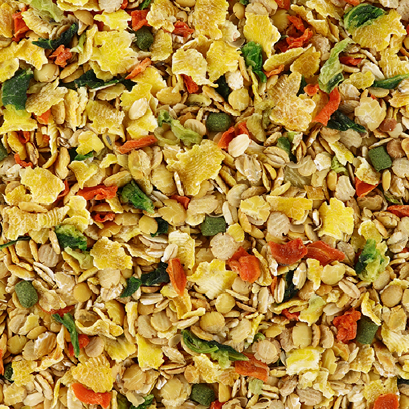 NPF Hearty 混合蔬菜小食 - 260g