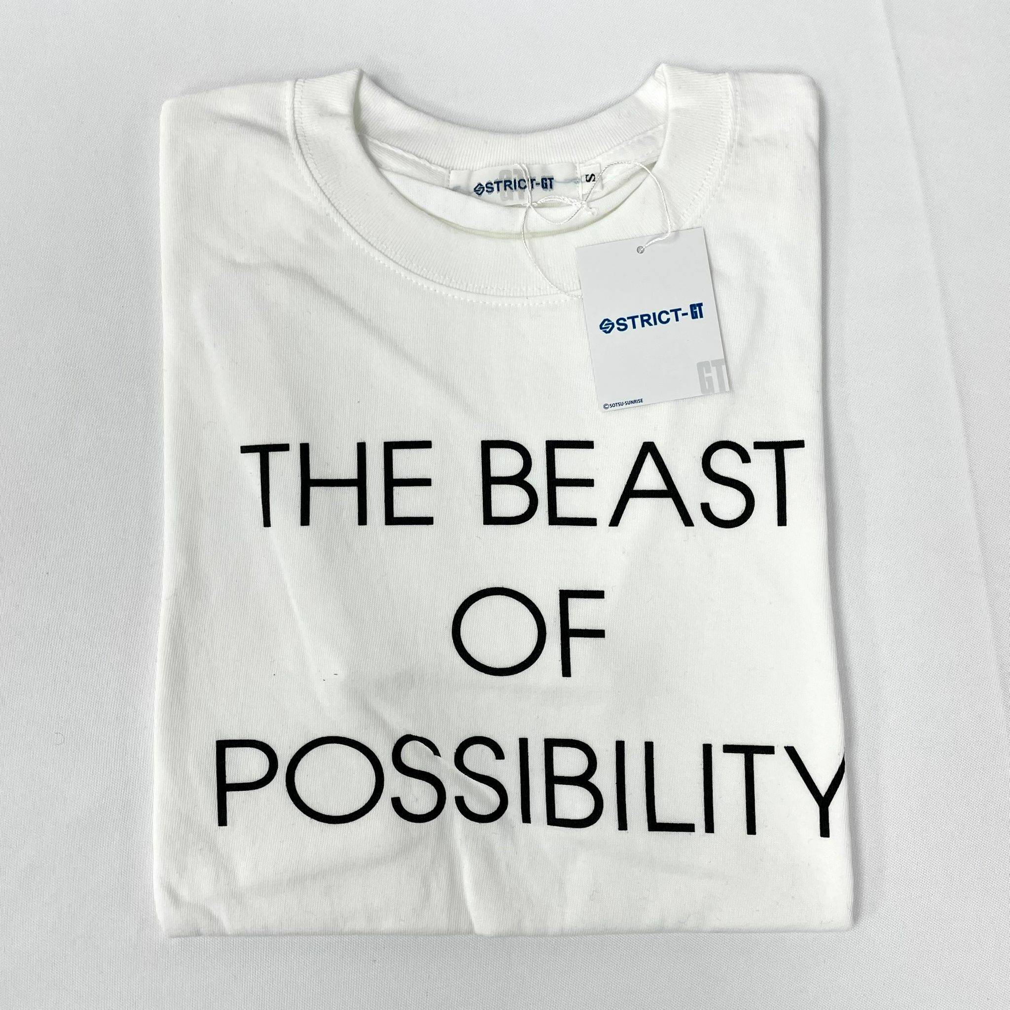 STRICT-GT  高達UC tee -S