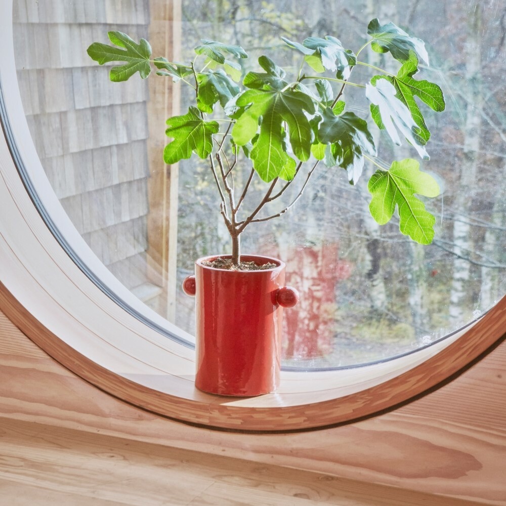 OYOY Inka 印加極簡石器 / 盆栽-小 / 經典紅