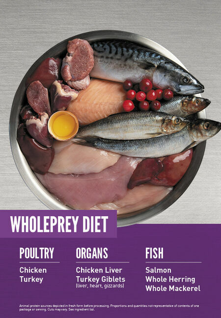 Orijen 渴望 – 無穀物幼貓糧 Kitten 5.4kg