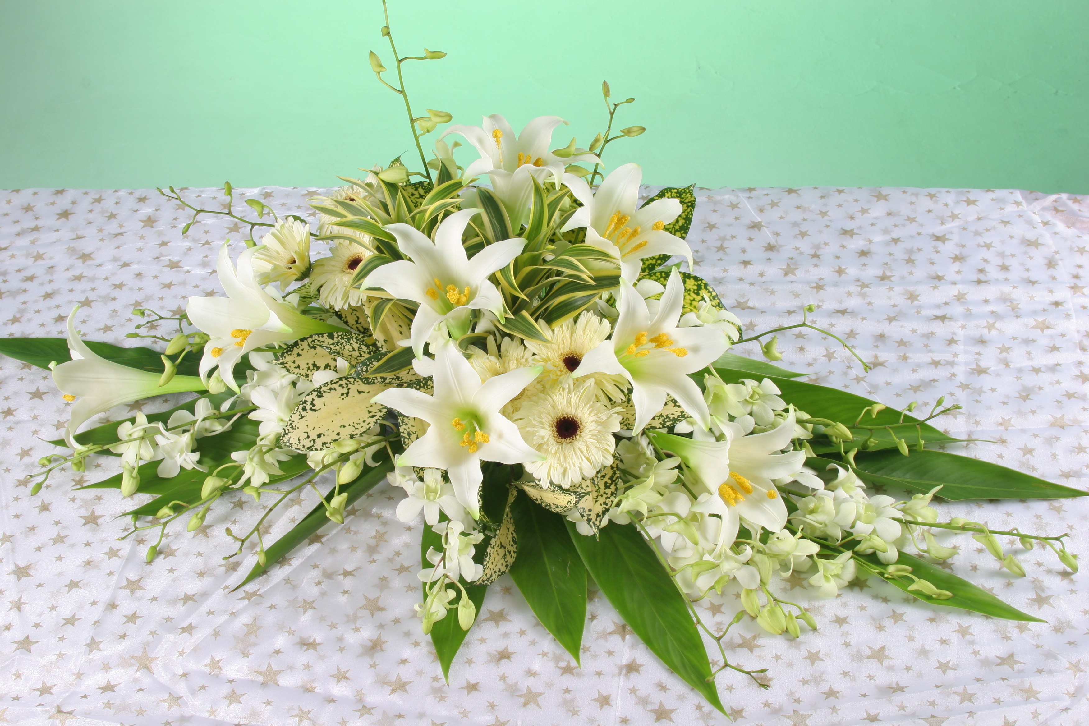 H100A⭐⭐⭐⭐⭐member discount