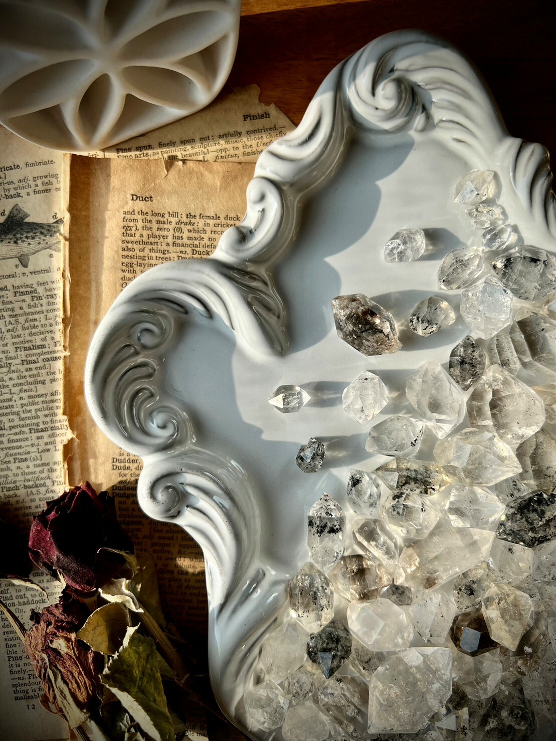 高頻赫爾基蒙雙尖閃靈鑽