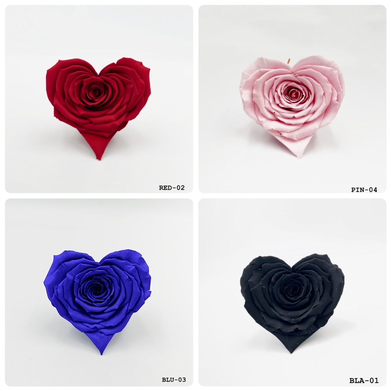 厄瓜多 Roseamor 心型玫瑰4朵裝