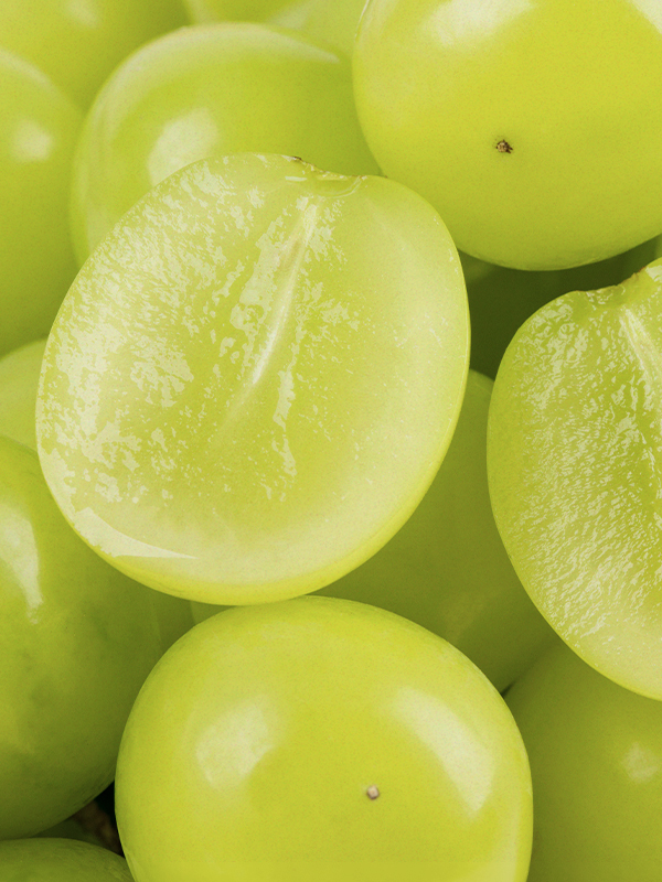 Shine Muscat ~Green Grapes