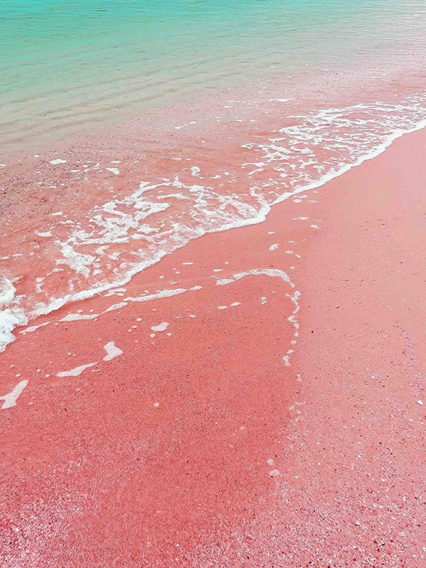 Pink Sands (YC Type)
