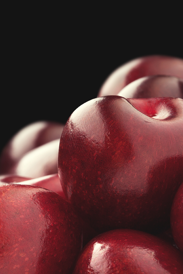 Black Cherry (YC Type)