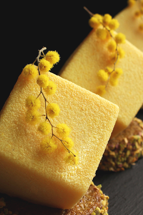 Mimosa