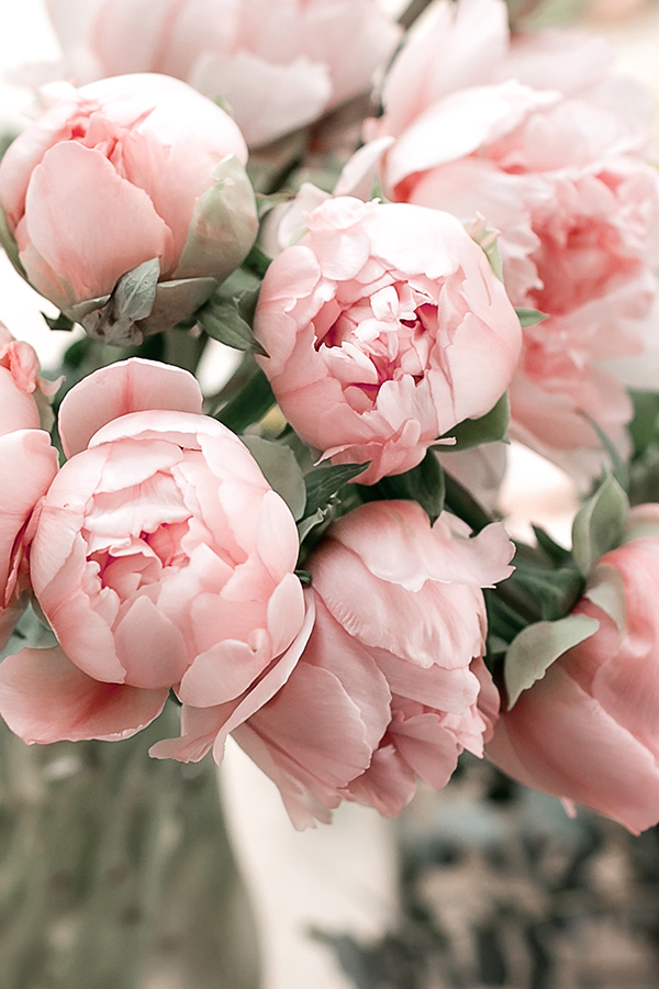 Peony & Blush Suede (J Type)