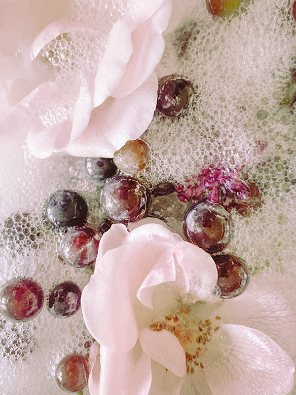 Plum Blossom (Jo Malone Type)