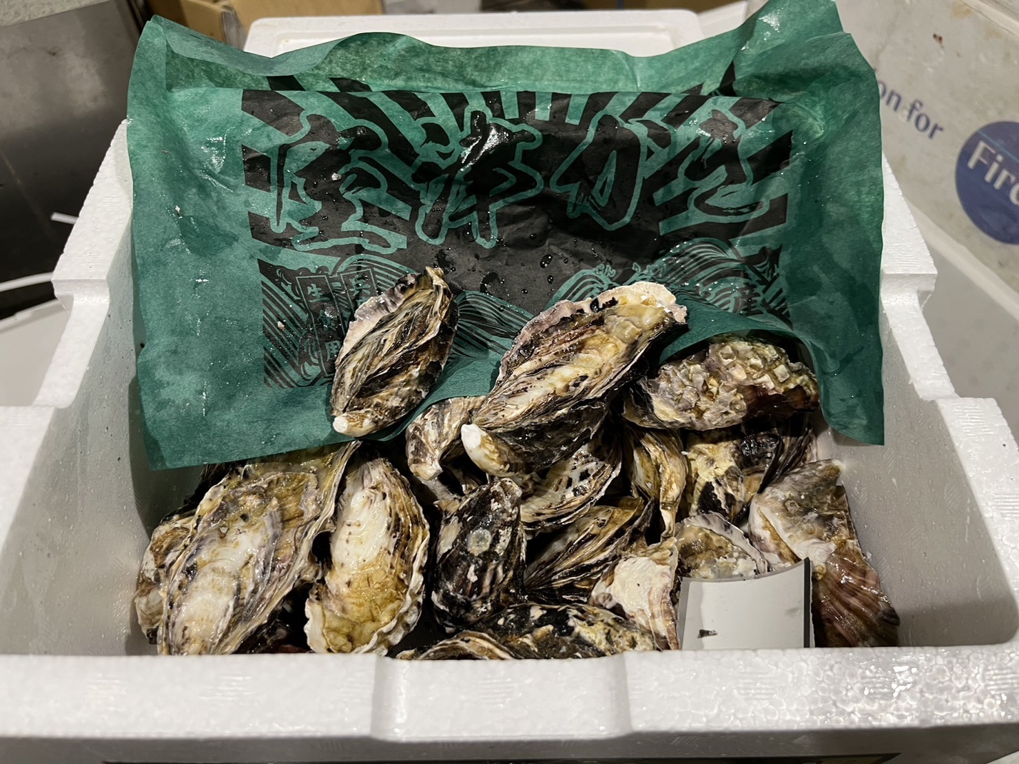 殼付真蠔 室津 善漁水産 約60-80G/隻