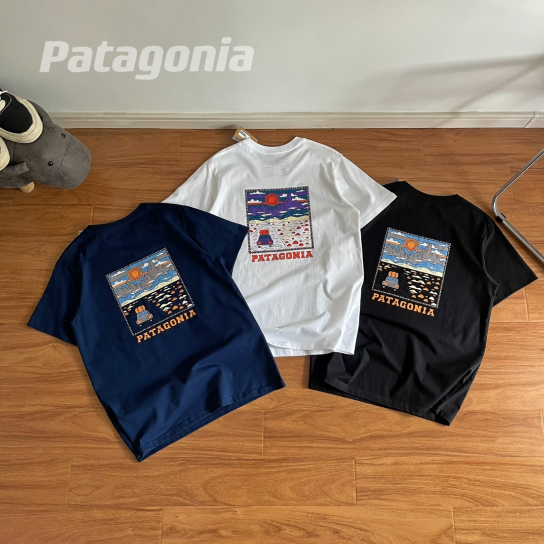 Patagonia 限定環保主題♻️系列 Summit Road Organic T-Shirt 38537