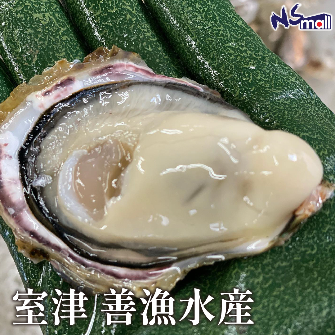 殼付真蠔 室津 善漁水産 約60-80G/隻