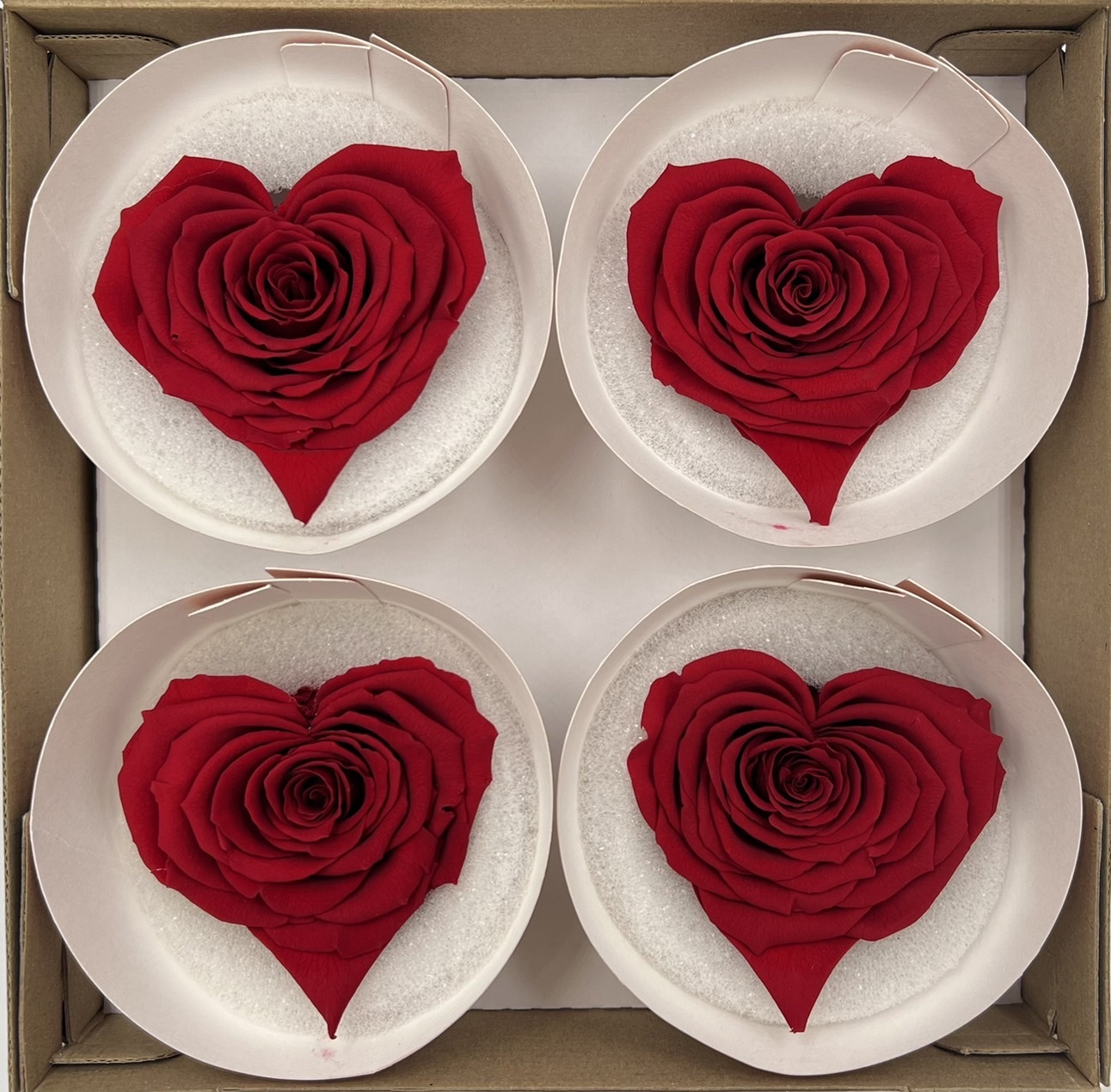 厄瓜多 Roseamor 心型玫瑰4朵裝