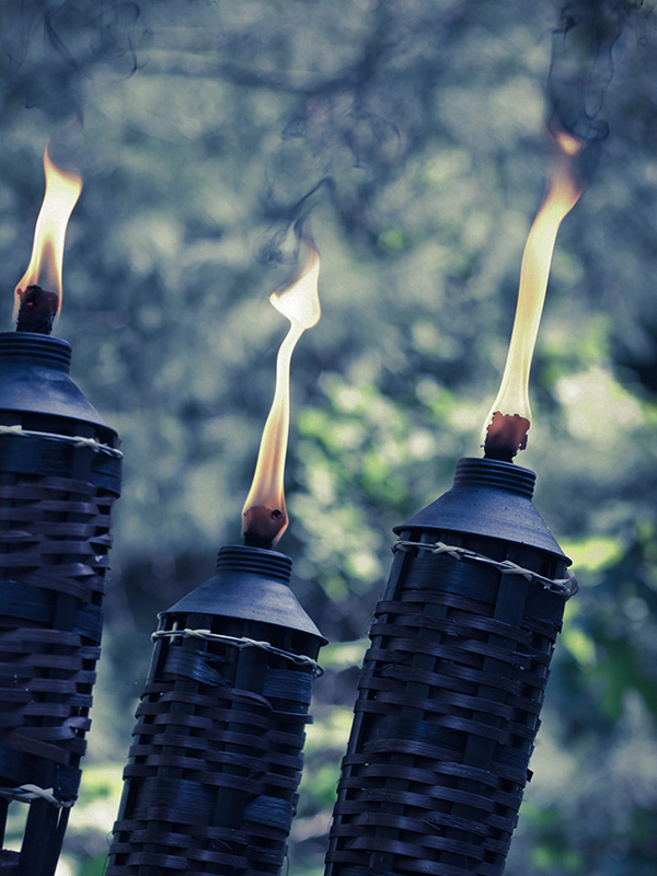 All New Citronella (Spray OK! 50% Natural Oil Loaded)
