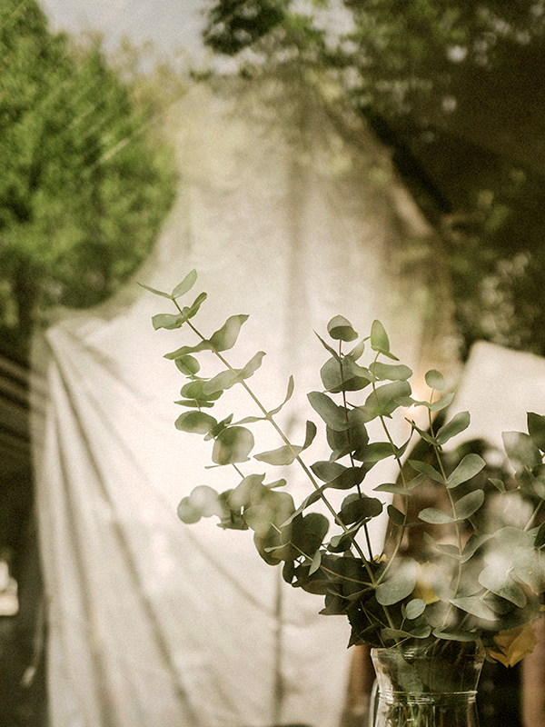 Santal 33 (Le Labo Type)