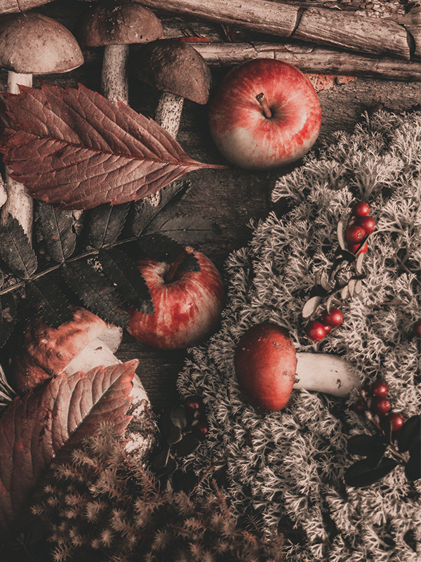 Autumn Leaves & Moss