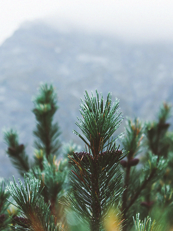 Halla Mountain