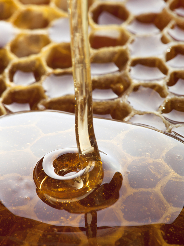 Honey (L Type)