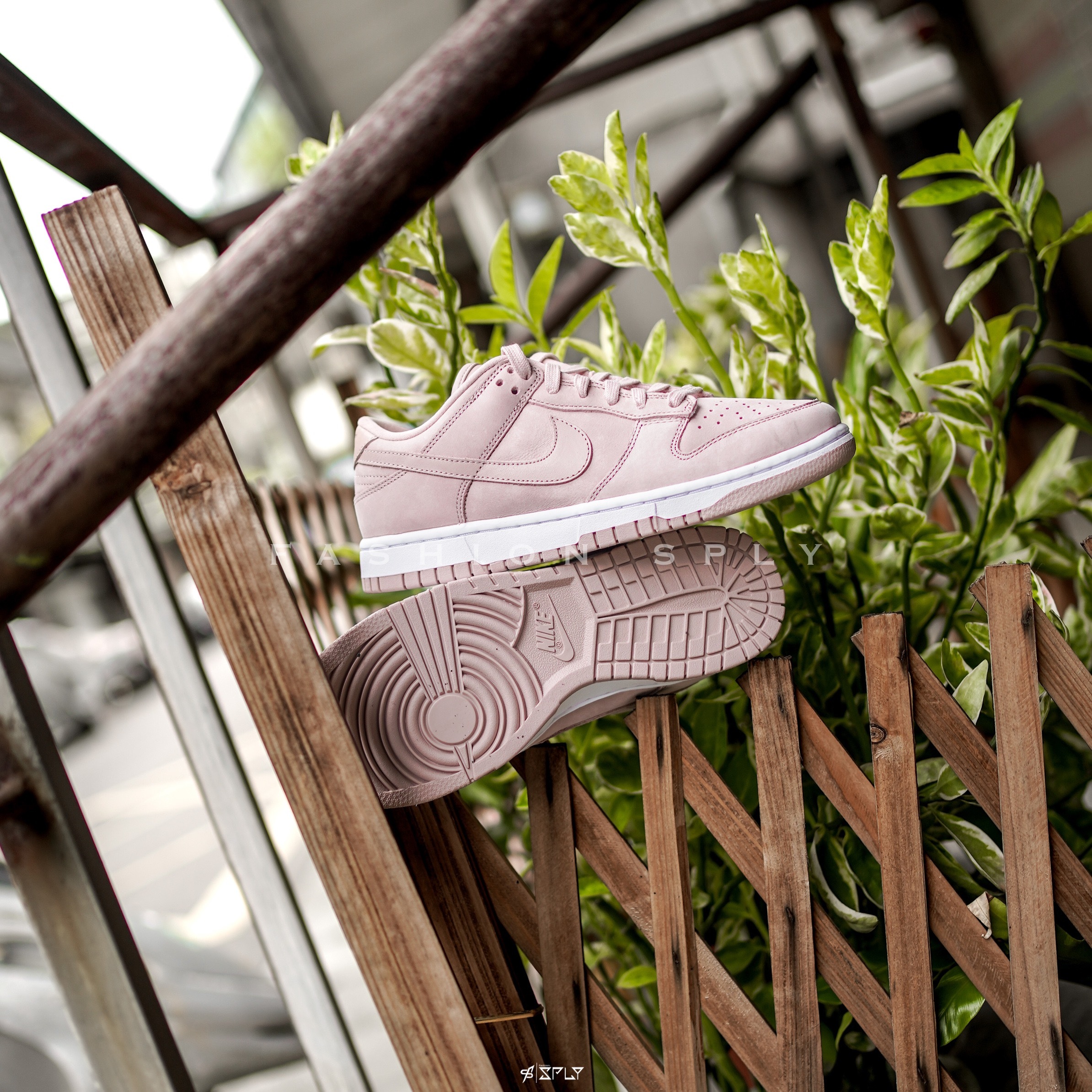 Nike Dunk Low PRM Pink Oxford 乾燥玫瑰粉 DV7415-600