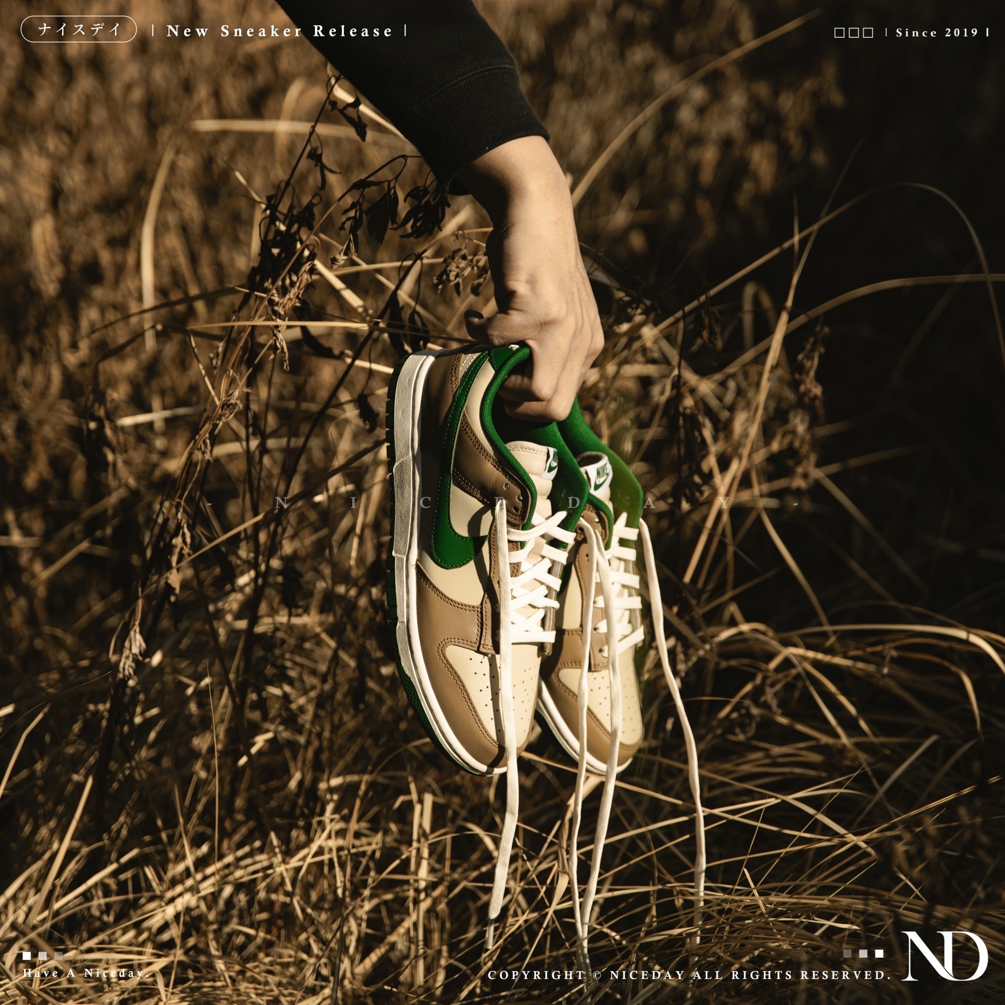 NICEDAY 代購 Nike Dunk Low Leaf 落葉 男女尺寸 FB7160-231