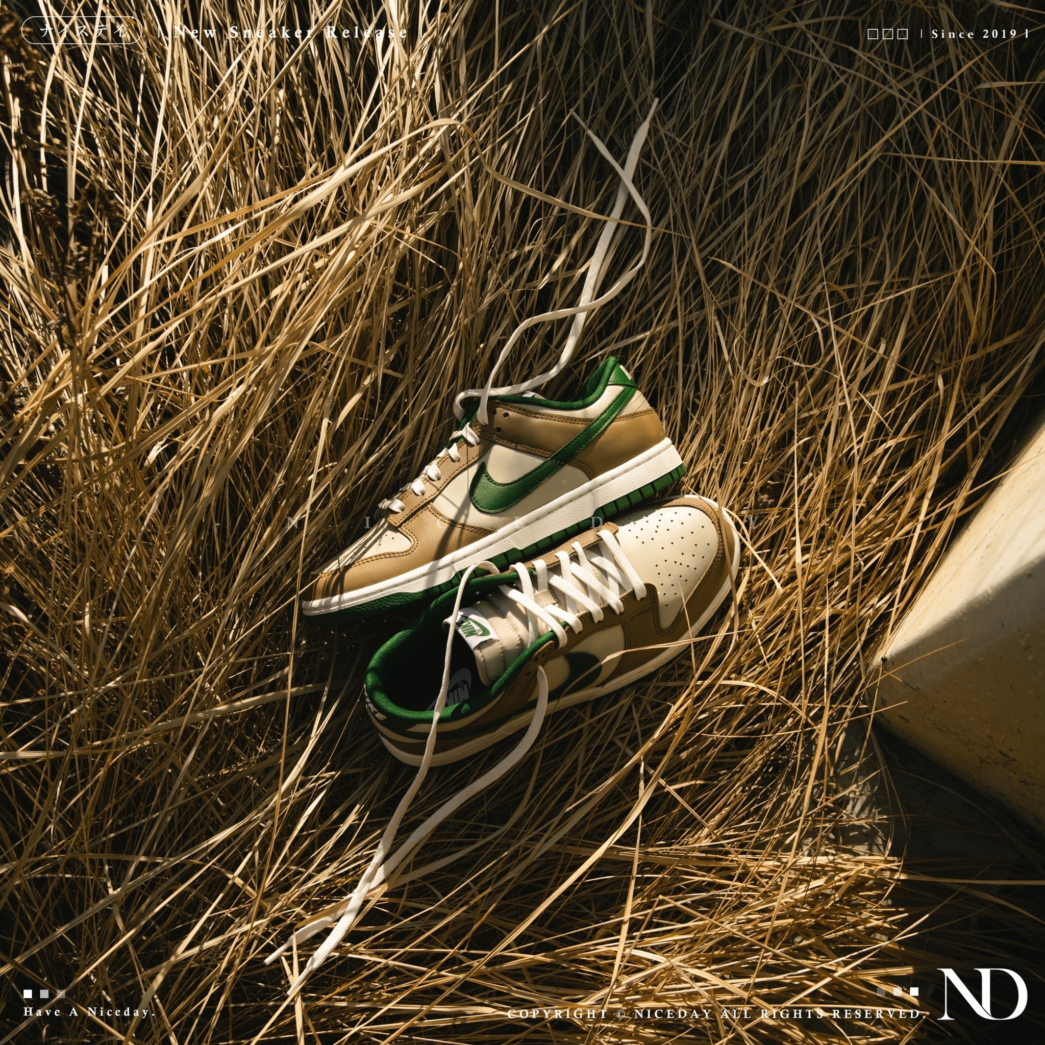 NICEDAY 代購 Nike Dunk Low Leaf 落葉 男女尺寸 FB7160-231