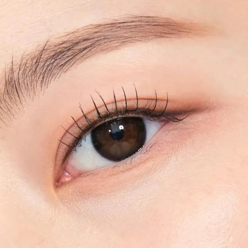 [日拋] O-LENS 1 Day SHINE Black 日拋彩妝隱形眼鏡｜每盒20片