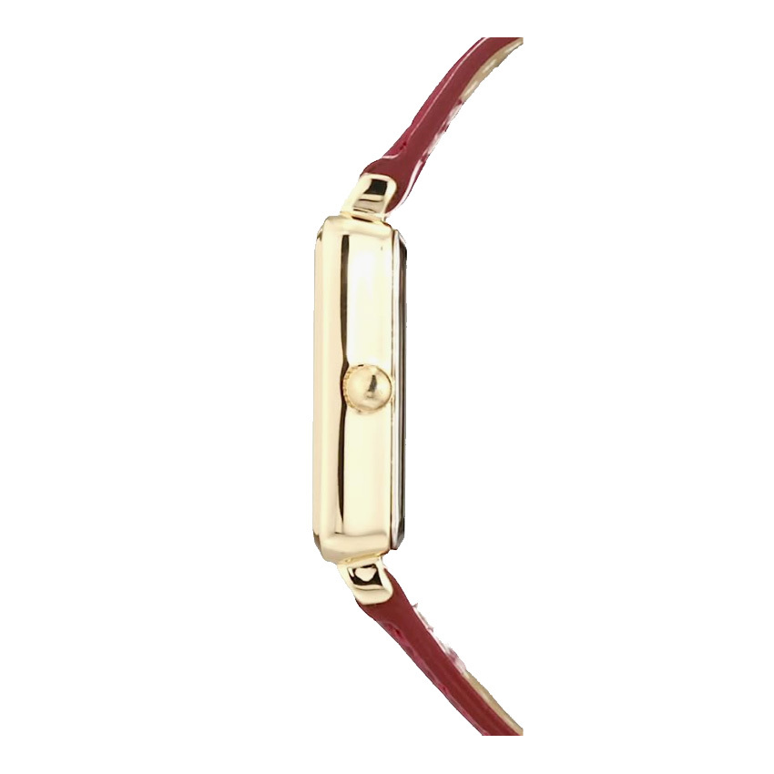 【預購款】Anne Klein 簡約系列腕錶 AN99792