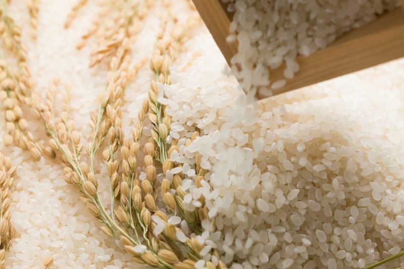 白米倒入裝有生白米與金黃稻穗裡