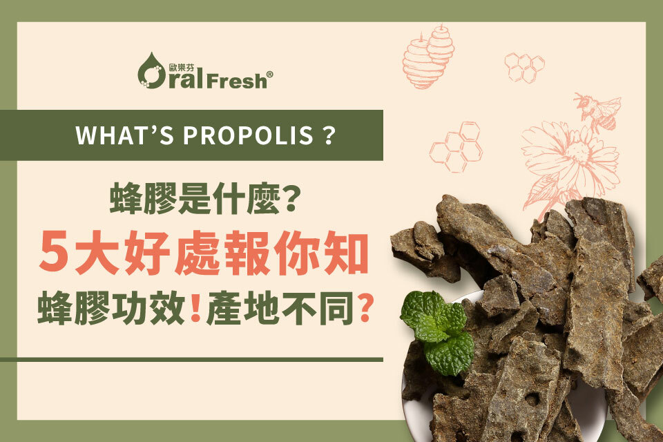 蜂膠是什麼？吃蜂膠好處有哪些？不同蜂膠產地差別？5大好處報你知