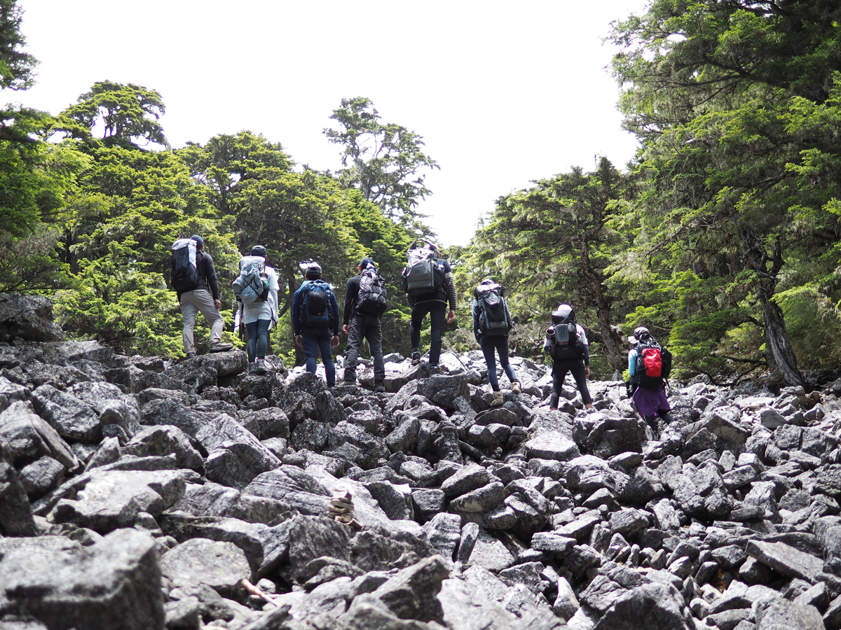 武陵四秀,池有山,品田山,桃山,喀拉業山,hanchor,百岳,縱走,登山,健行