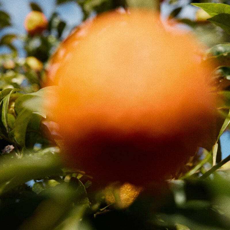 Nonfiction Perfume OPEN ARMS 30ml / 100ml