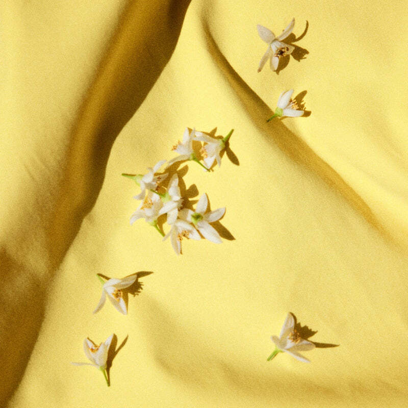 Nonfiction Perfume NEROLI DREAM 30ml / 100ml