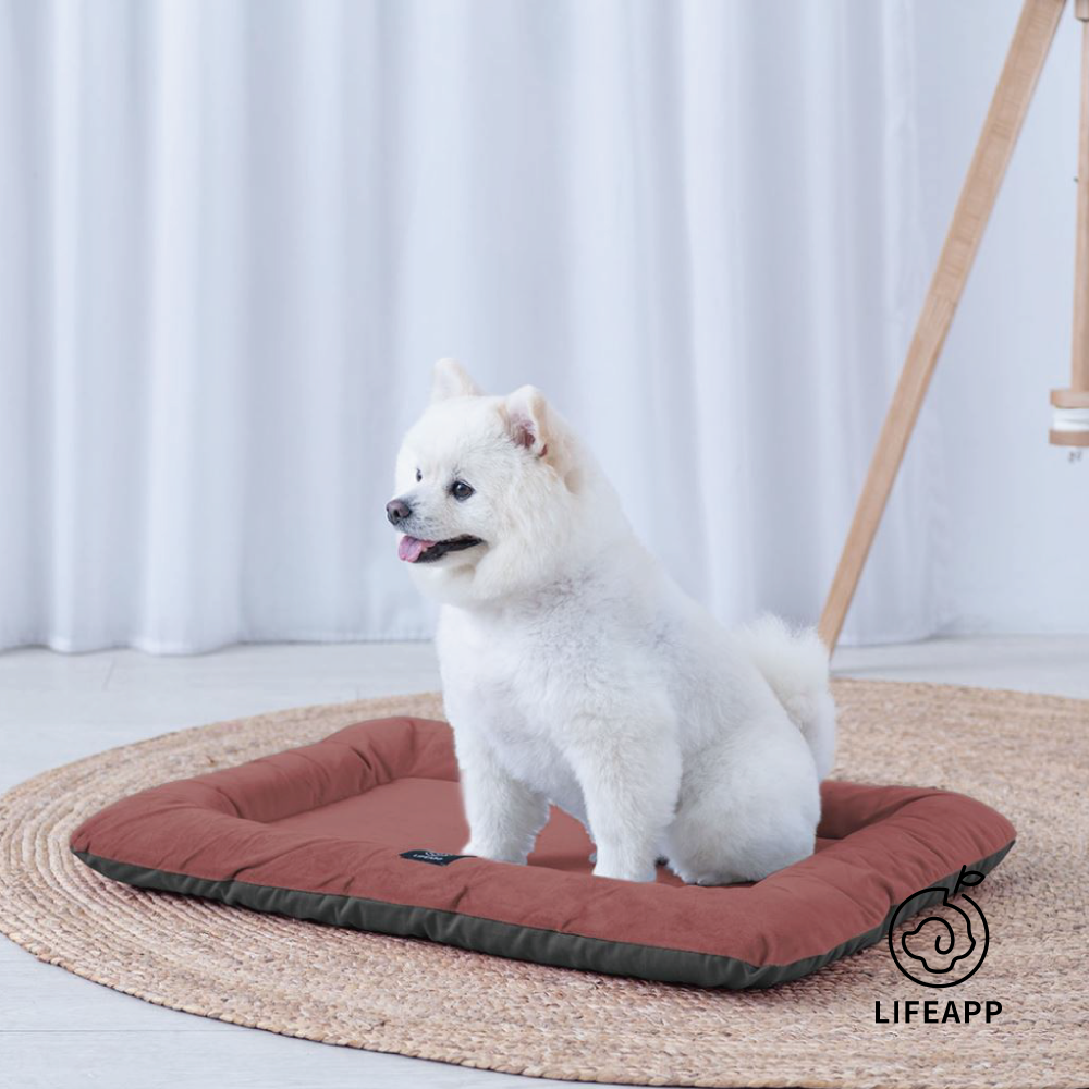 LIFEAPP | 迷你堡-寵物緩壓睡墊
