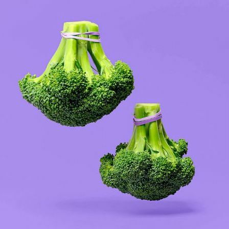 泰國BH 狗狗花椰菜凍乾