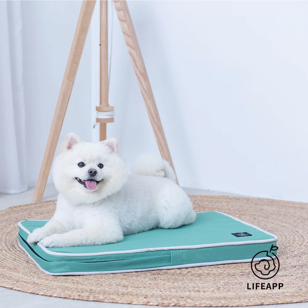LIFEAPP | 經典透氣睡墊