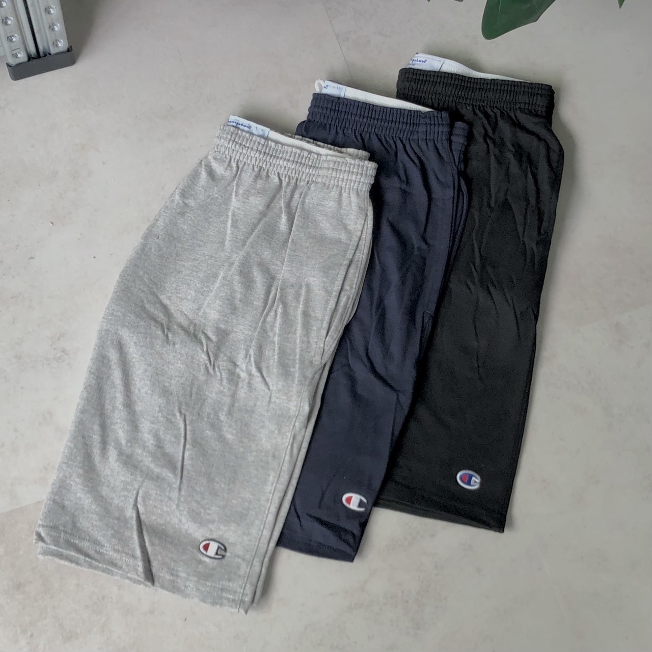 Champion 美規高磅純棉Logo短褲 C85653