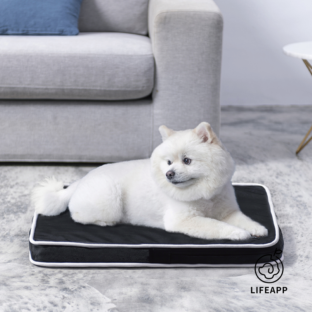 LIFEAPP | 經典透芯涼睡墊