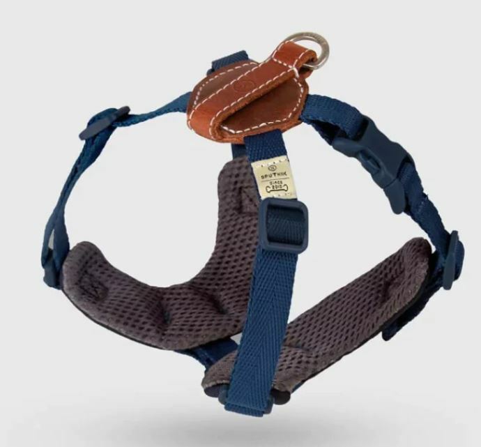 SPUTNIK-EXPLORE｜Harness  Blue