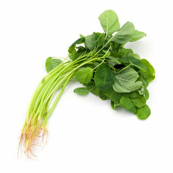Local Chinese Spinach (CATTY)