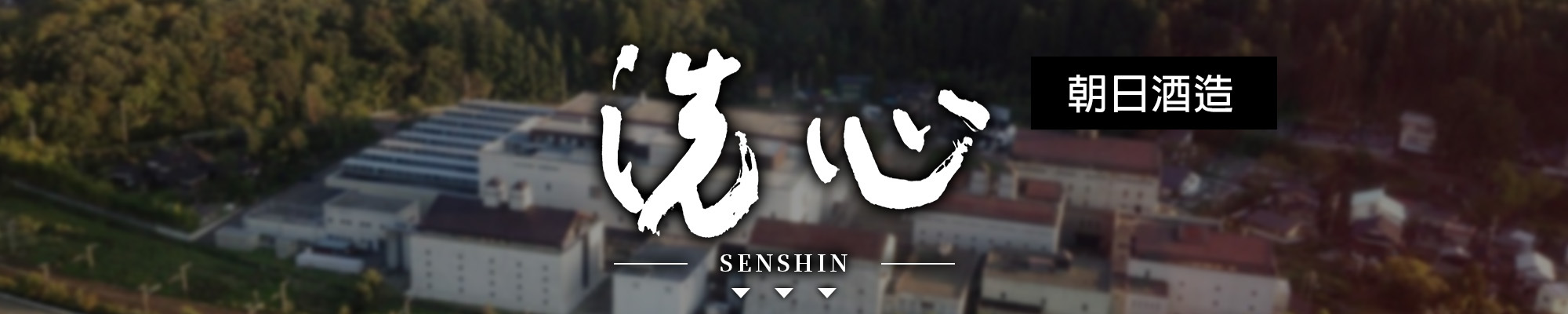 洗心,senshin,AMALL,SAKE,清酒,日本酒,威士忌