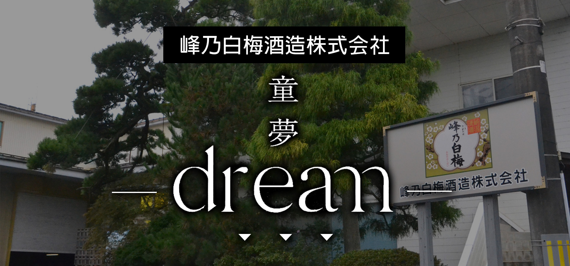 童夢,DREAM,AMALL,SAKE,清酒,日本酒,威士忌