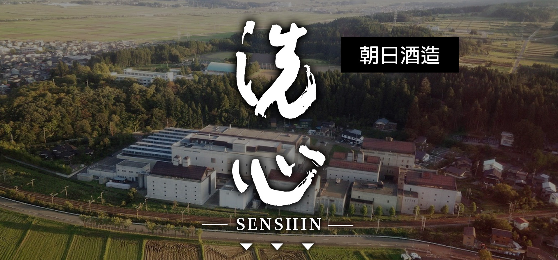 洗心,SENSHIN,AMALL,SAKE,清酒,日本酒,威士忌