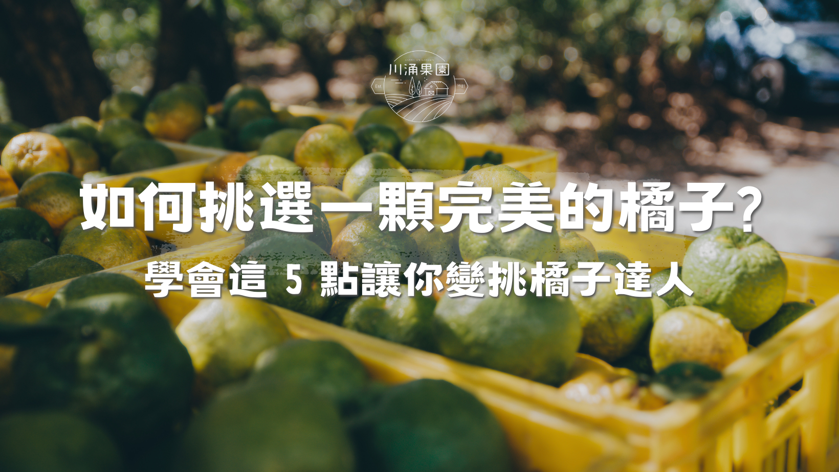 如何挑選一顆完美的橘子?，川涌果園，廚房清潔劑