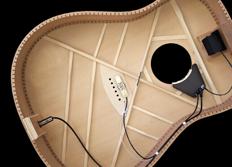 L.R Baggs  Anthem 雙系統拾音器 公司貨【宛伶樂器】